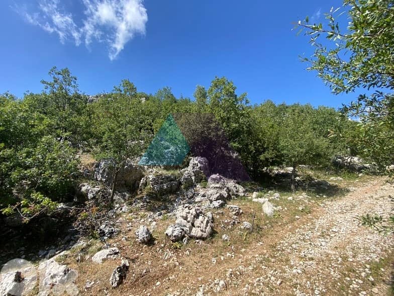 1000m2 land+mountain view-Prime Location-4sale in Faytroun 1
