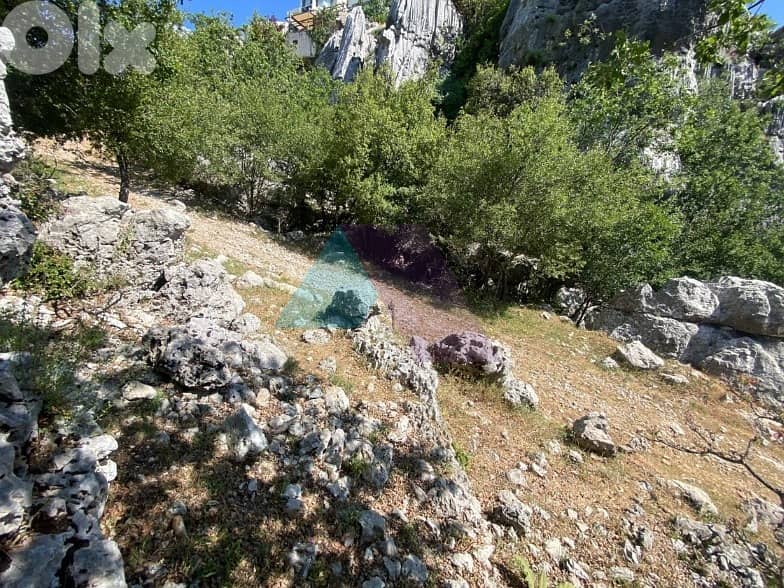 1000m2 land+mountain view-Prime Location-4sale in Faytroun 3