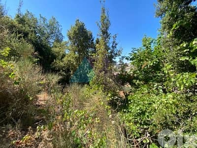 2000m2 land-mountain view-Prime Location 4sale in Mayrouba - ميروبا