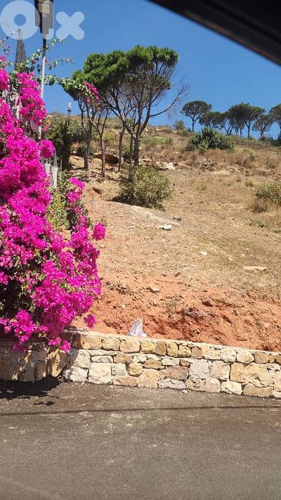land for sale in ain saade أرض للبيع في عين سعاده