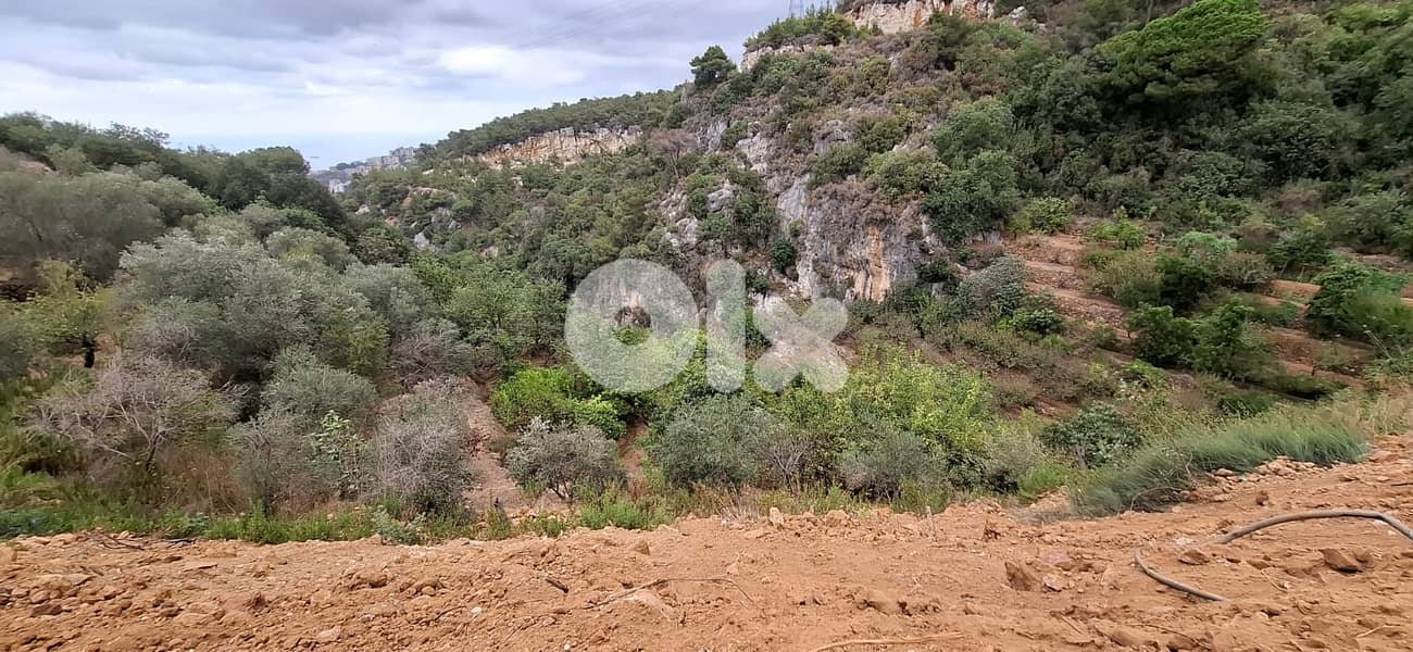 L19051 - 1,300 SQM Land With Great View For Sale in Nabey 1