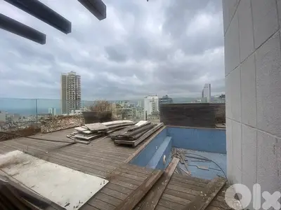 Beautiful penthouse with private swimming pool and sea view