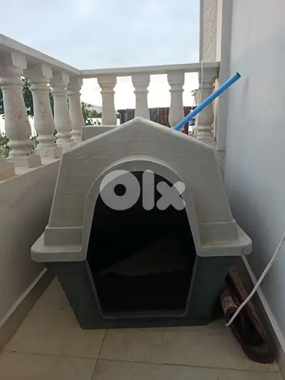 huge Dog house