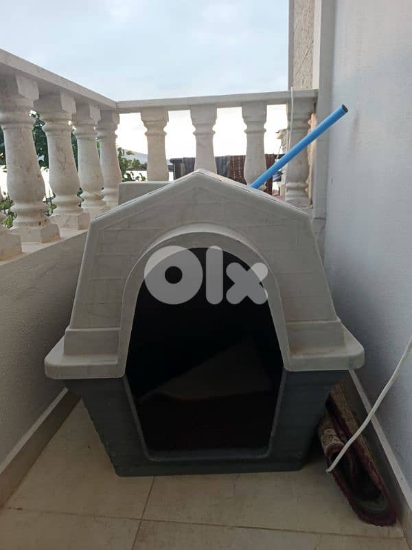 huge Dog house 0