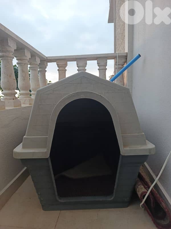 huge Dog house 3