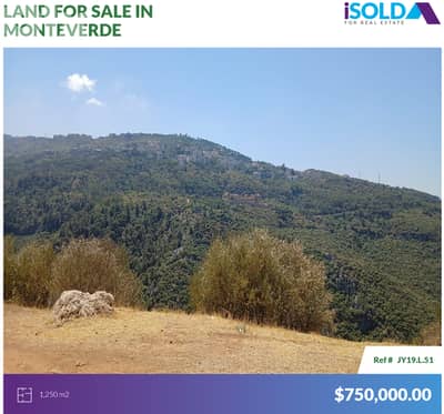 1250m2 Land having an Unblockable mountain view for sale in Monteverde