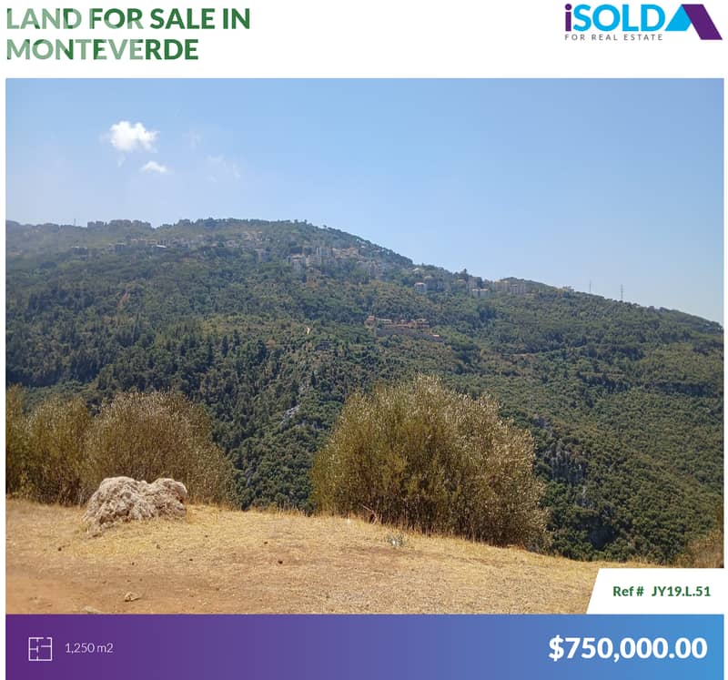 1250m2 Land having an Unblockable mountain view for sale in Monteverde 0
