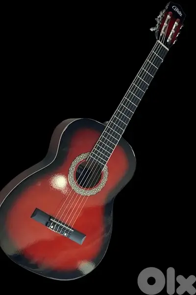 Acoustic Guitar