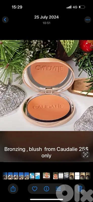 bronzing powder and blush