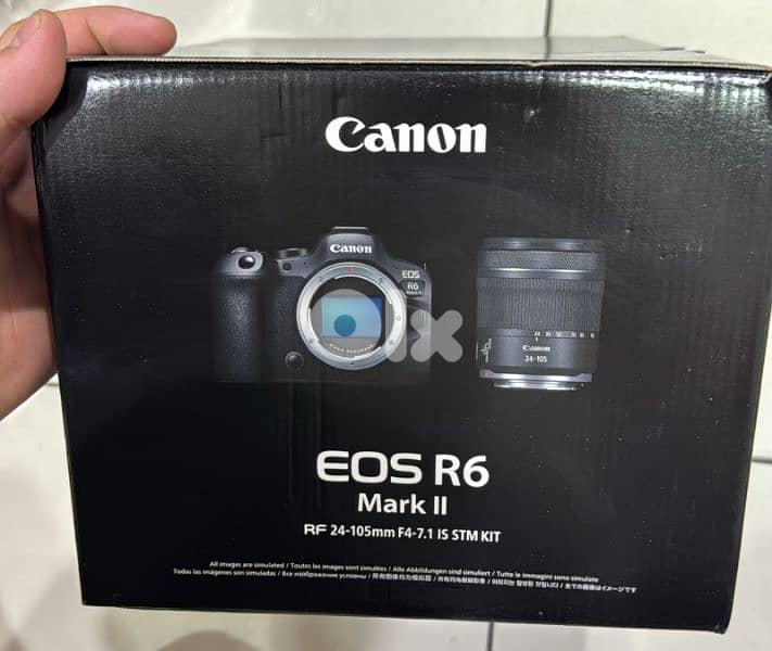 Canon Camera EOS R6 Mark II RF 24-105mm F4-7.1 IS STM Kit 0