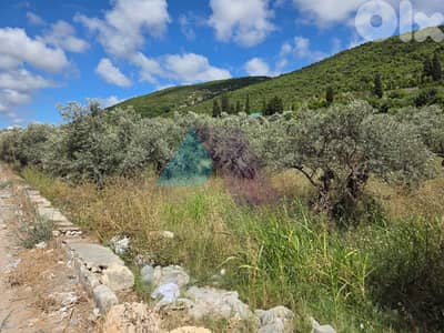 2638m2 Land-Prime Location-4sale in Batroun/Highway - أرض في البترون