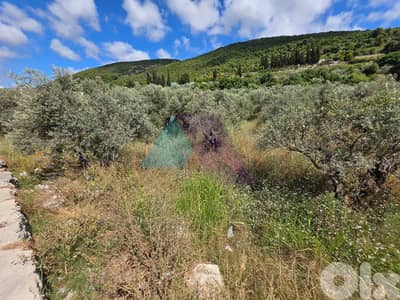 2638m2 Land-Prime Location-4sale in Batroun/Highway - أرض في البترون