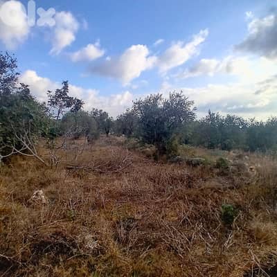 Prime 1,255 SQM Land FOR SALE – Monsef, Jbeil!