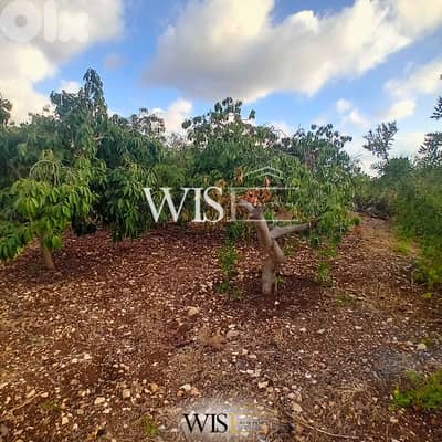 Prime 4,150 SQM Land FOR SALE – Monsef, Jbeil!