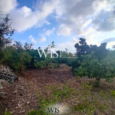 Prime 4,150 SQM Land FOR SALE – Monsef, Jbeil!