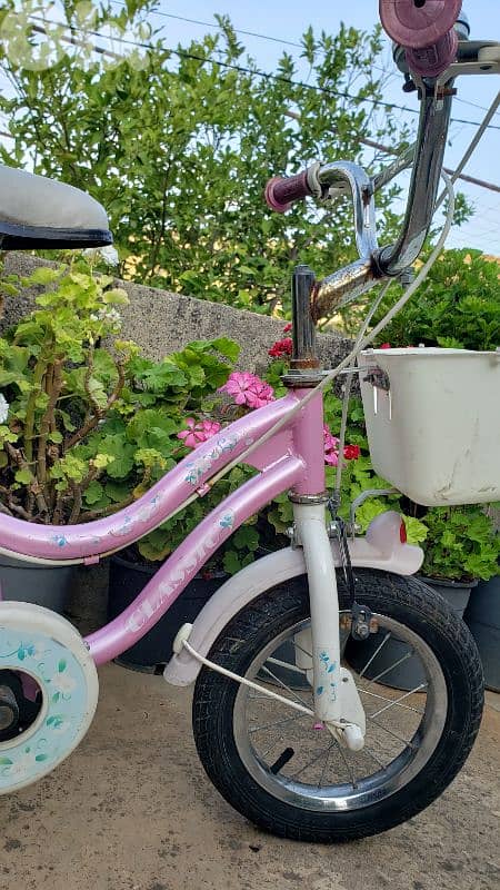 bicycle 1
