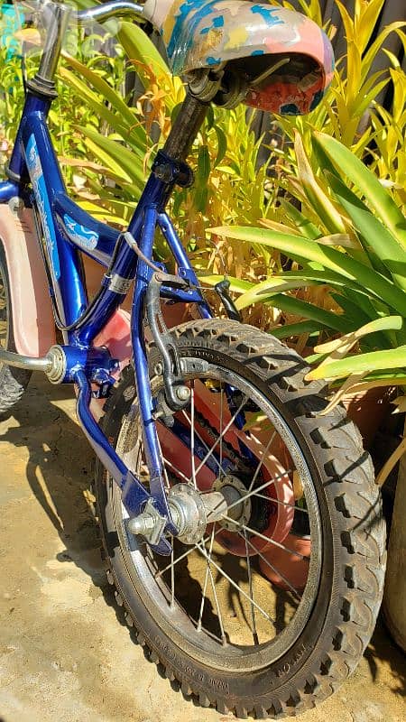 UNISEX Bicycle 2