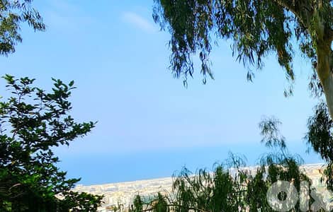 Land for sale in Rabieh/ Seaview