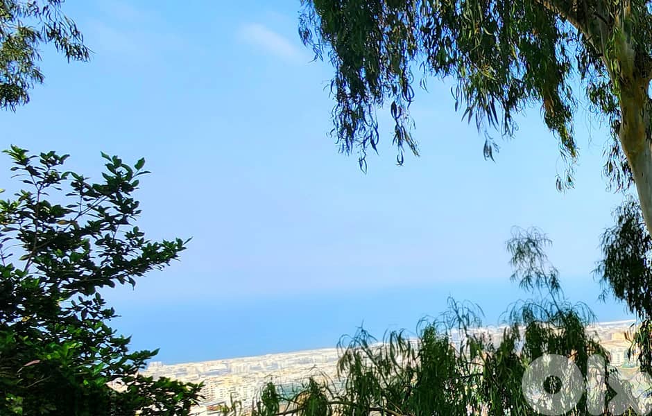 Land for sale in Rabieh/ Seaview 0