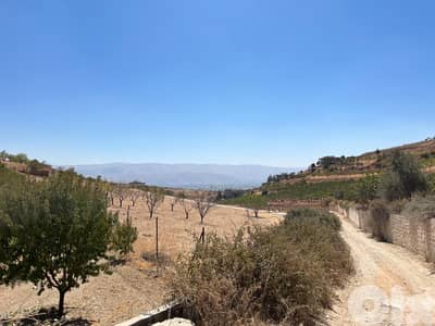 maalaka aradi land 2198 sqm for sale #6744