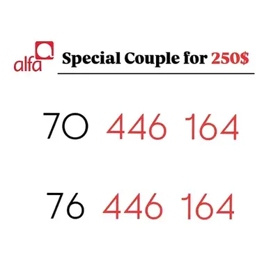 Any Alfa Couple for 250$ we deliver all leb