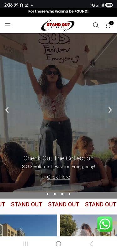 Starting From 250 USD Web Development, Hosting, Emails, QR Code, Menu 0