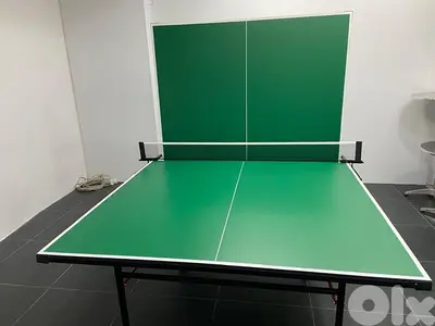 Table tennis pingpong outdoor