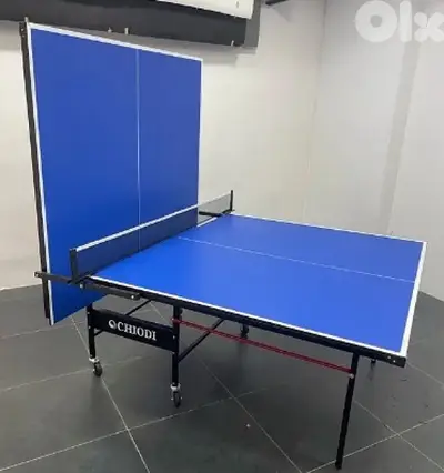 Table tennis pingpong outdoor