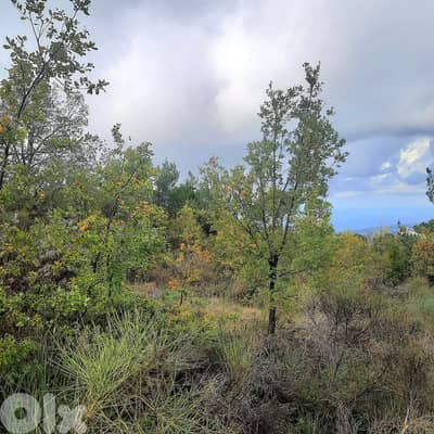 Villa for sale in Bikfaya/ Under construction/ Garden