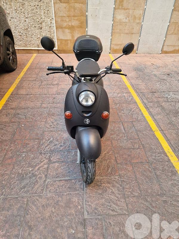 Tree  City Electric Bike 0