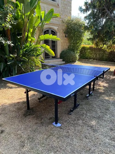 pingpong table