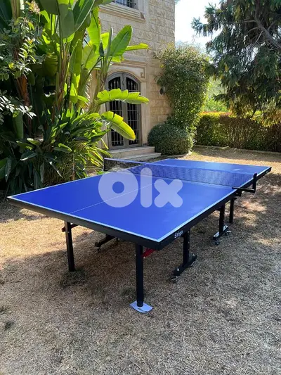 pingpong table