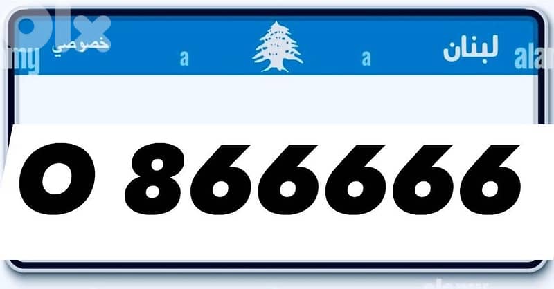 cars and motorcycles plates 7