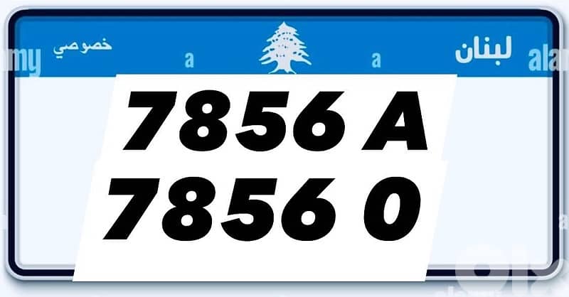 cars and motorcycles plates 9
