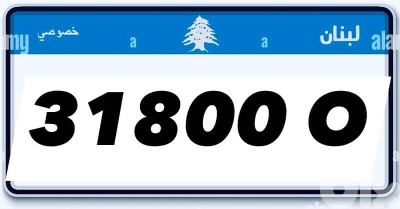 cars and motorcycles plates 14