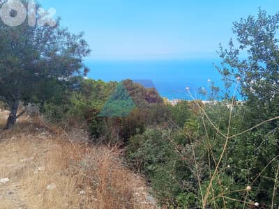 1465m2 Land+sea view|Prime Location| 4sale in Chnaniir -أرض في شننعير