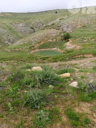أرض للبيع في عين داره عاليه land for sale in ajn Dara aley أرض للبيع في عين داره عاليه land for sale in ajn Dara aley