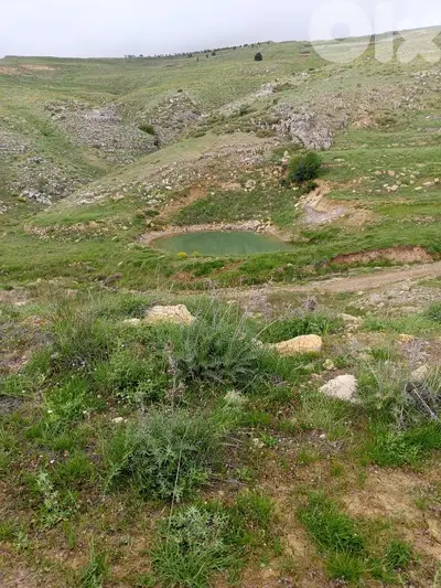 أرض للبيع في عين داره عاليه land for sale in ajn Dara aley