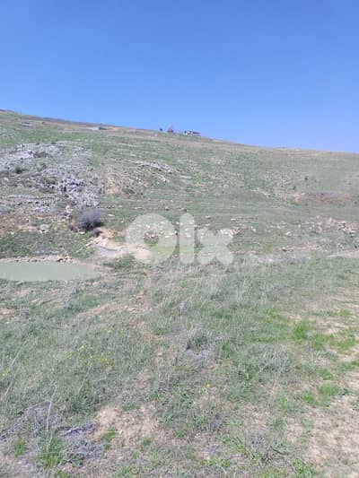 أرض للبيع في عين داره عاليه land for sale in ajn Dara aley