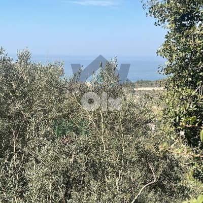 Land for sale in Nammoura, Kesserwan ارض للبيع في منطقة نمورة