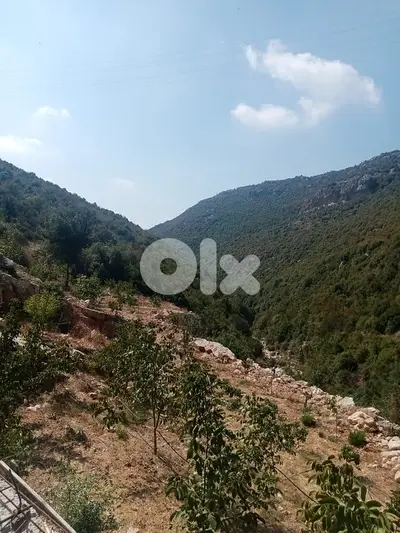 Land for sale in Haqel-Jbeil - أرض للبيع في حاقل - جبيل