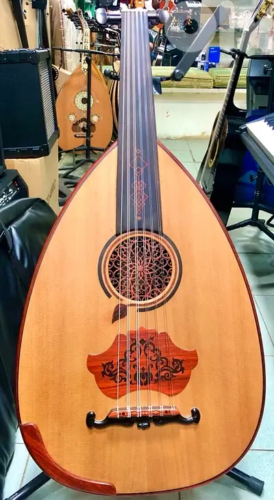 oud professional عود احترافي مميز