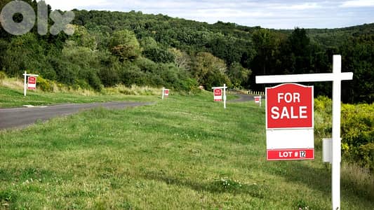 Land for sale in Al Oyoun ارض للبيع في العيون