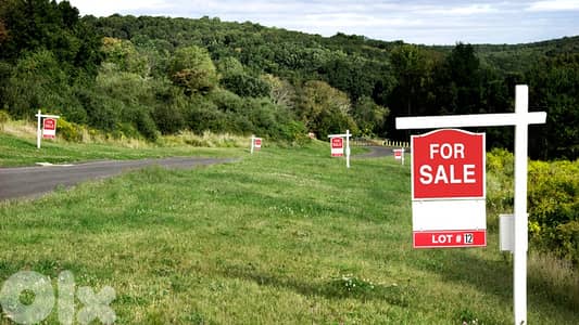 Land for sale in Al Oyoun ارض للبيع في العيون