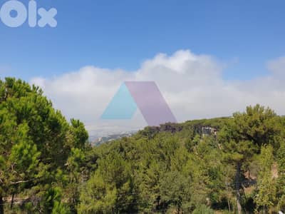 3280m2 land+mountain view 4sale in Aley - أرض للبيع في عاليه