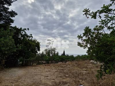 Land for sale in Aamchit Jbeil