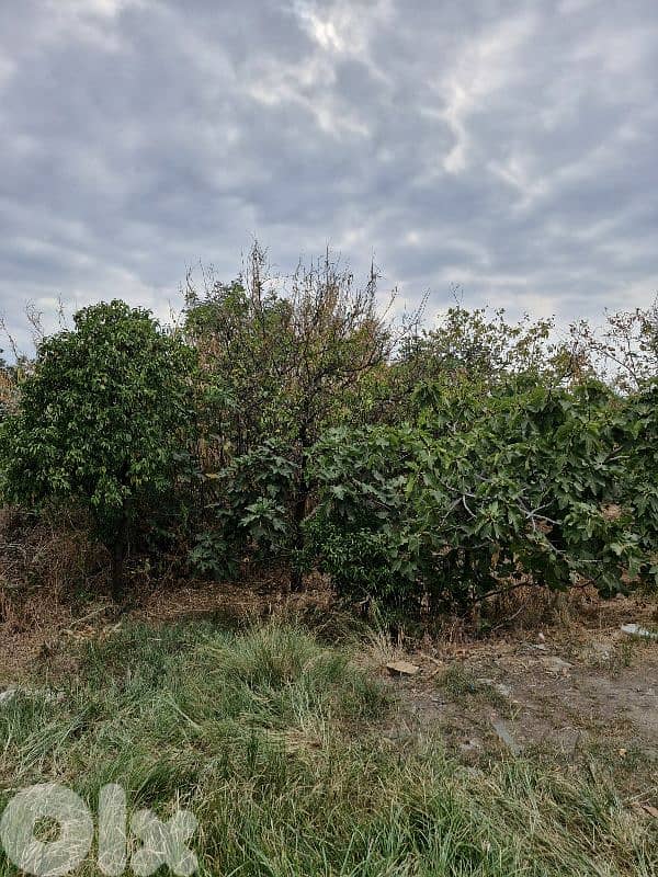 Land for sale in Aamchit Jbeil 2