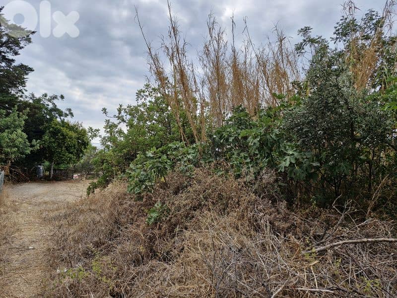 Land for sale in Aamchit Jbeil 3