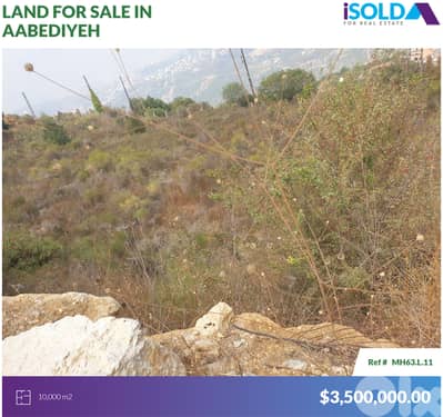 10000m2 Land+open city view 4sale in Aabediyeh/Aley - أرض في العبادية
