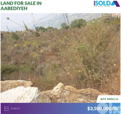 10000m2 Land+open city view 4sale in Aabediyeh/Aley - أرض في العبادية